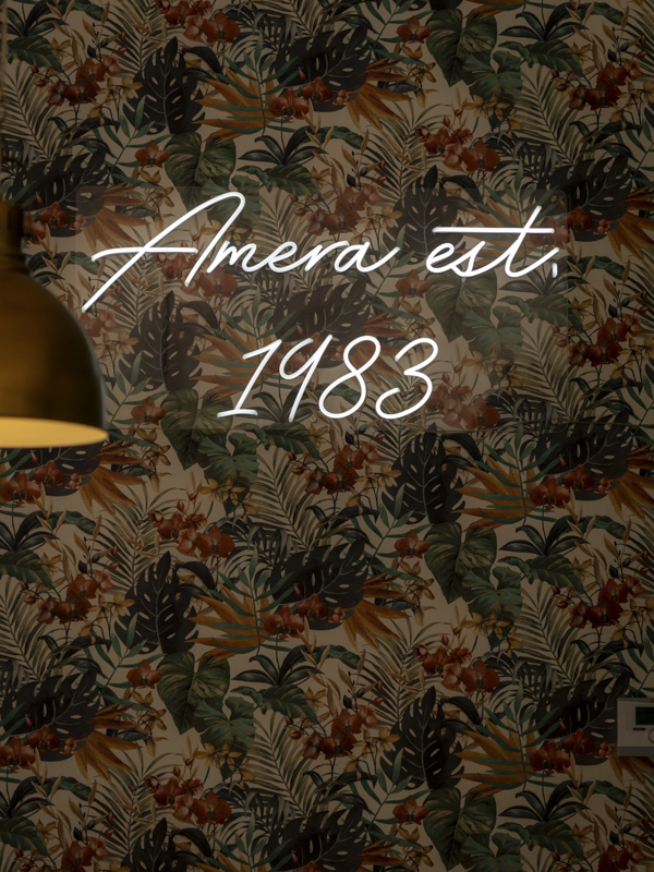 Amera